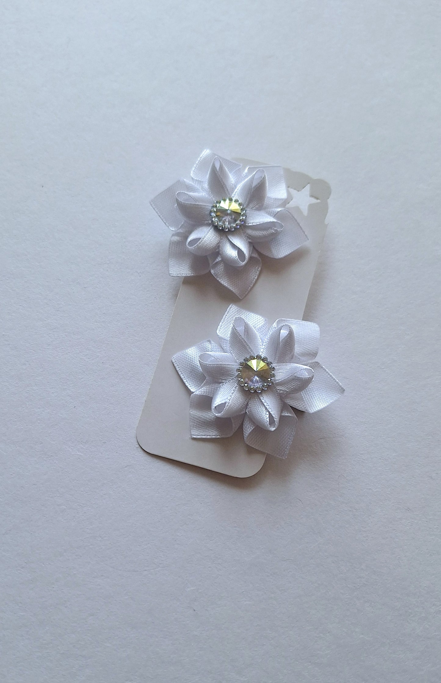 Sagė ir sagučiai į plaukus.