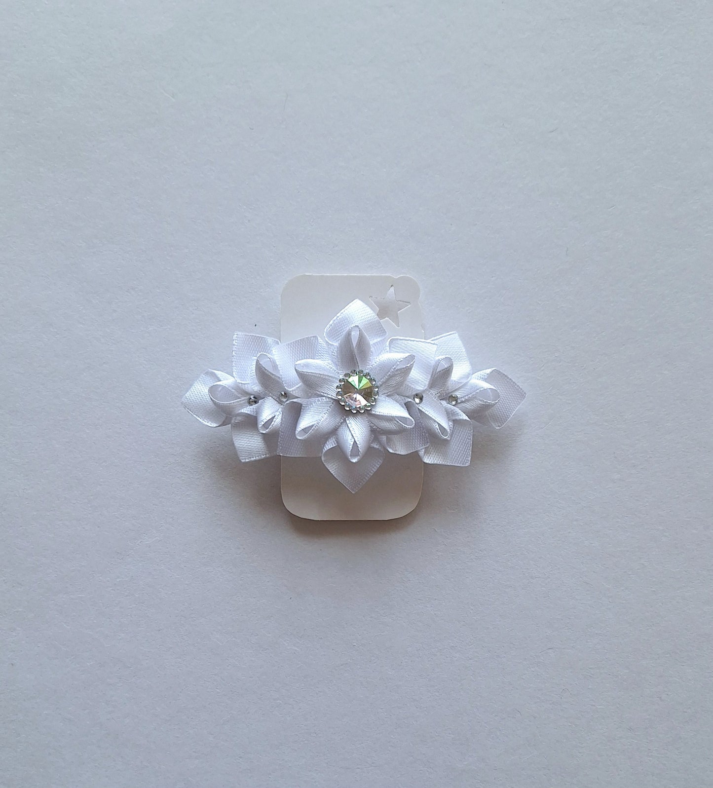 Sagė ir sagučiai į plaukus.