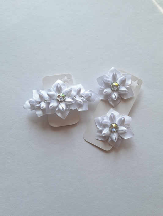 Sagė ir sagučiai į plaukus.